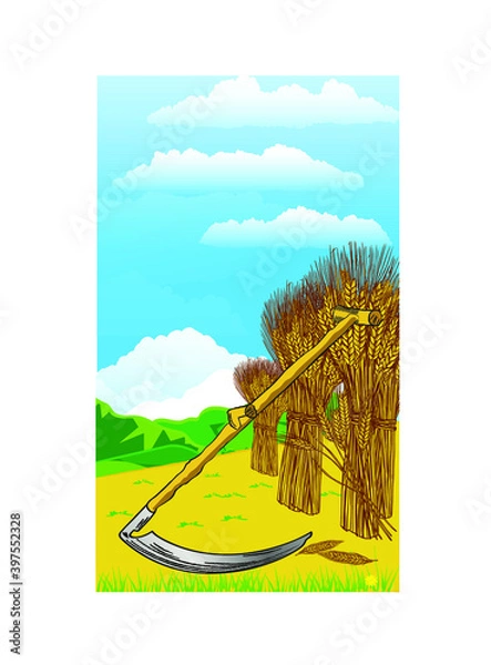 Fototapeta wheat field, scythe near standing sheaves