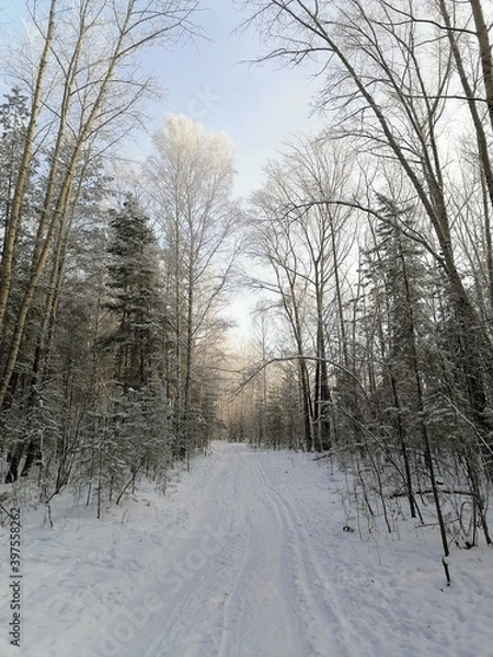 Obraz road in winter