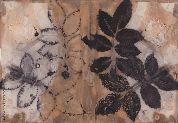 Fototapeta Ecoprinted rose leaves, ecodyed, rustdyed on paper, ecoprinting, botanical printmaking