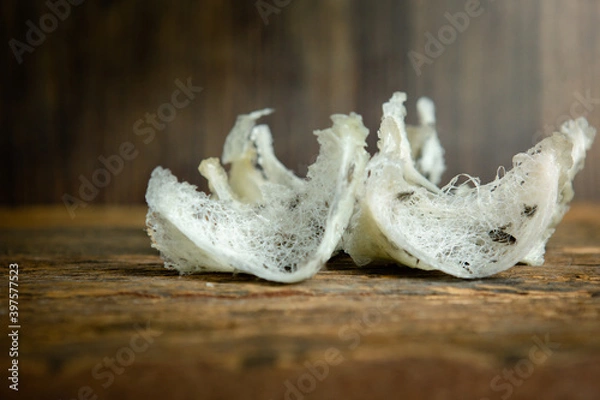Fototapeta Swallow's nest on the wood floor close up front view