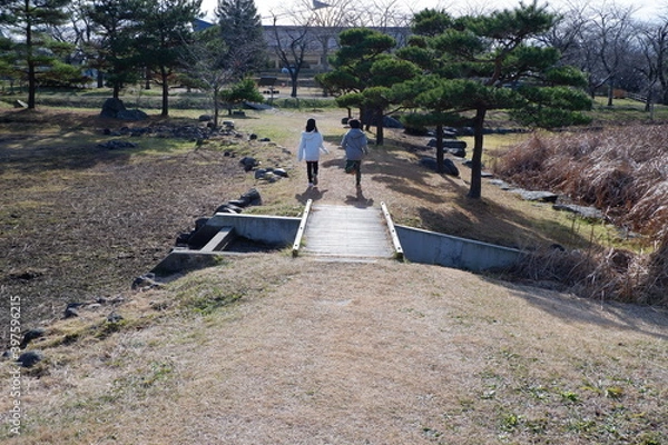 Obraz おいらせ　いちょう公園