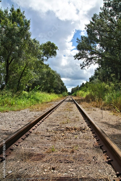 Fototapeta Railroad tracks through the countryside with clouds