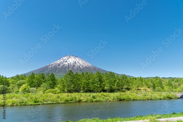 Fototapeta 夏の晴れた日の羊蹄山  北海道ニセコエリア