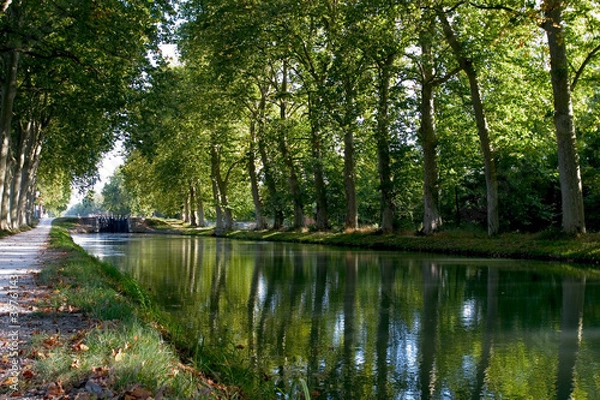 Obraz Canal du Midi
