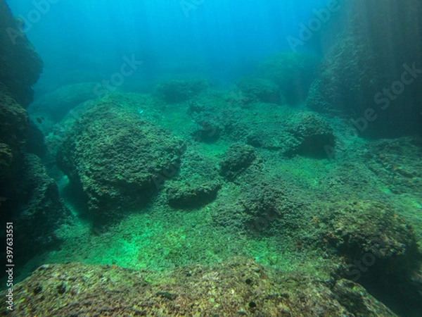 Obraz bottom of the Adriatic sea. the sun's rays through the water