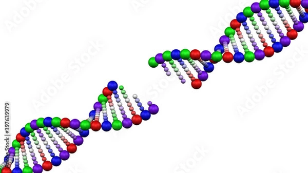Fototapeta Genetic disease. 3D rendering.