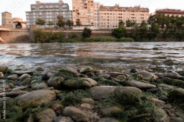 Obraz wet river stones