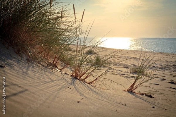 Obraz Sandy Baltic Sea beach, Wisełka, Poland