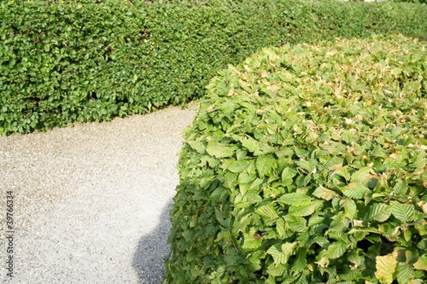 Fototapeta Schrebergarten