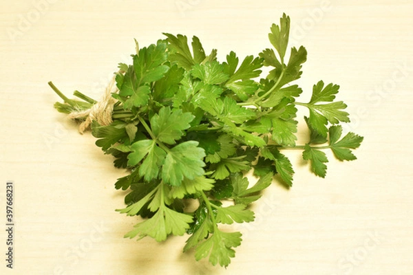 Obraz Green organic Parsley 