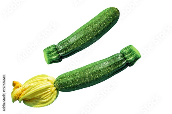 Fototapeta two young green flowering zucchini isolated on a white background