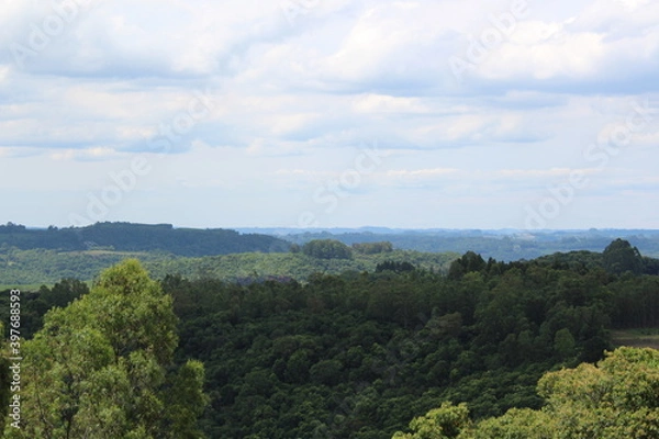 Obraz Caravaggio Brazil