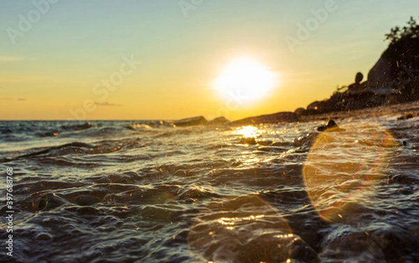 Obraz Coral close up view at beach sunset