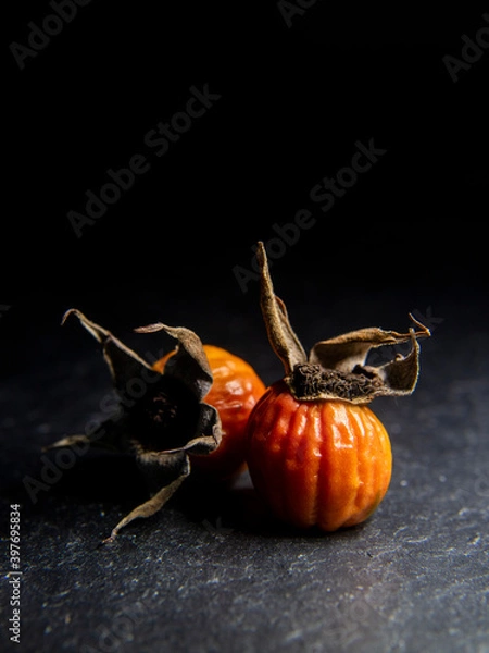 Fototapeta multi colored seed pods