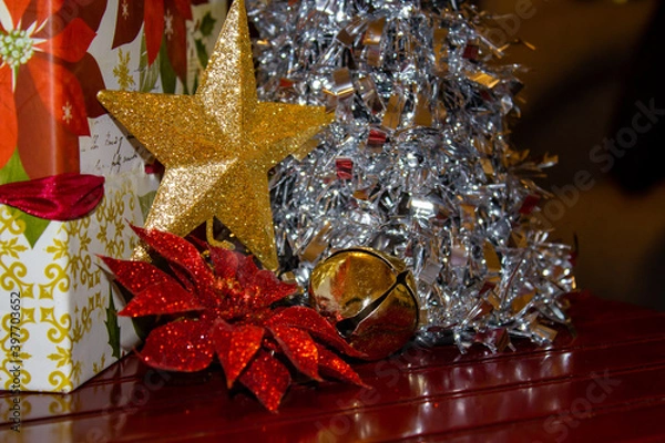 Obraz Gold bell flowerstare