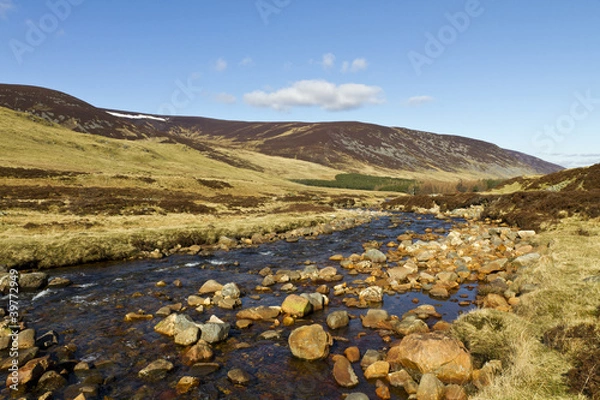 Obraz Highland stream