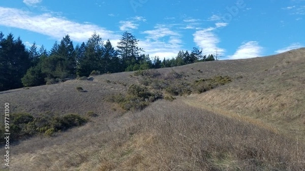 Obraz landscape in the mountains
