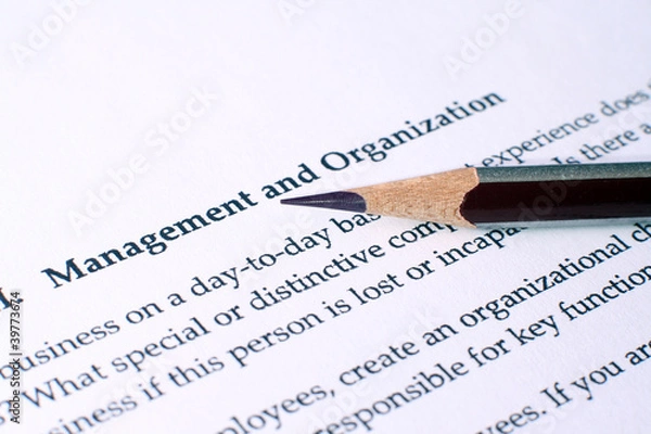 Obraz Management and organization