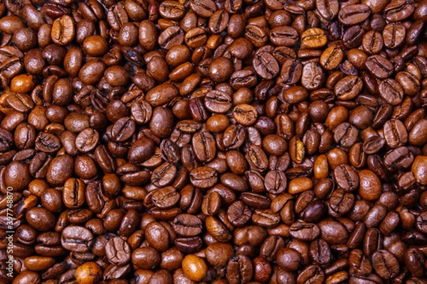 Obraz Coffee beans background texture, top view. space for copying text