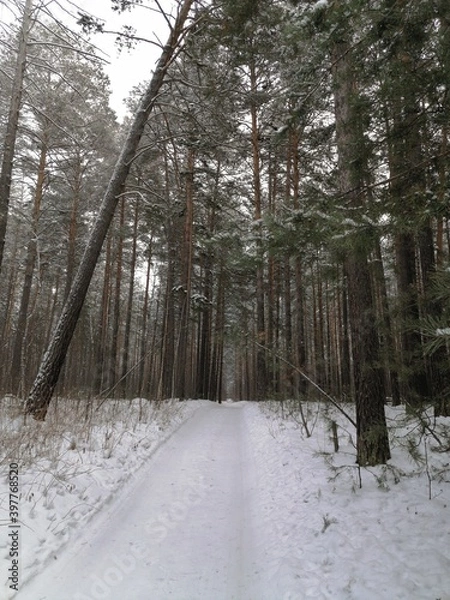 Obraz snow covered road