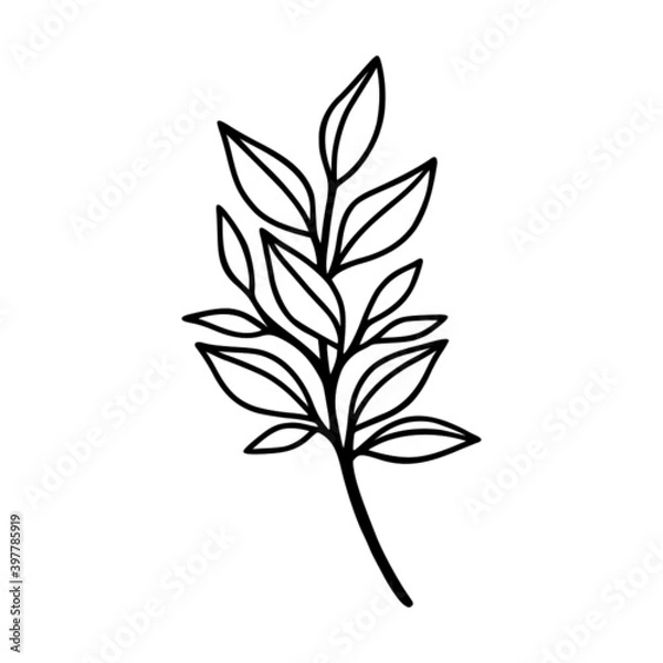 Fototapeta Hand drawn floral & botanical leaf branch illustration. Black line art vector feminine logo. Symbol and icon for wedding, business card, cosmetics, jewel, brand, and beauty products