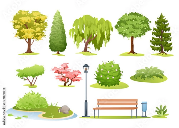 Fototapeta Forest and park trees, bushes, fern and park bench set