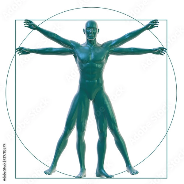 Obraz Vitruvian man on white