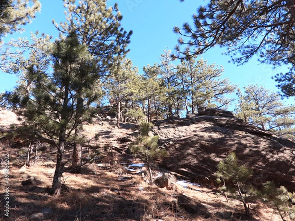 Obraz Mountain Hike In The Flatirons 