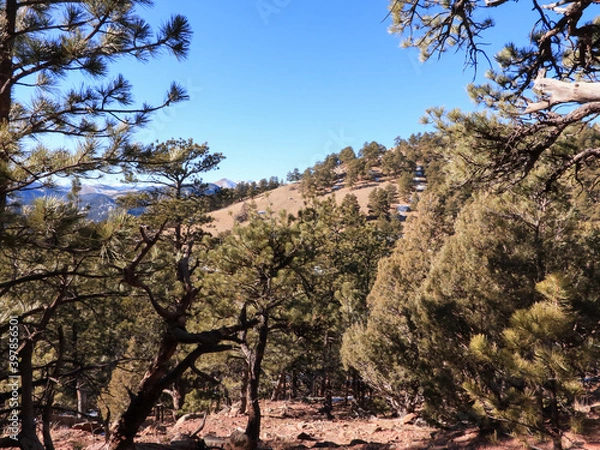 Obraz Mountain Hike In The Flatirons 