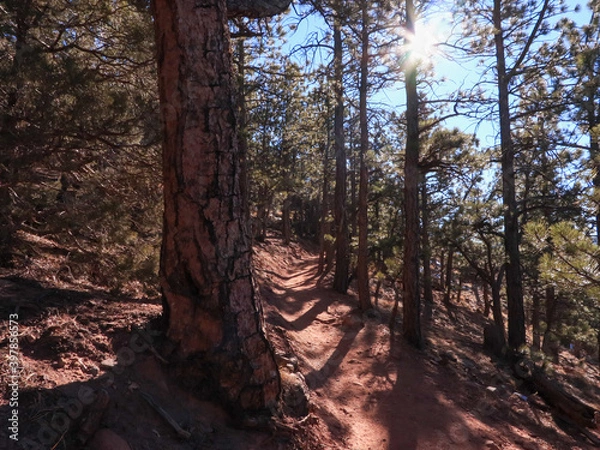 Obraz Mountain Hike In The Flatirons 