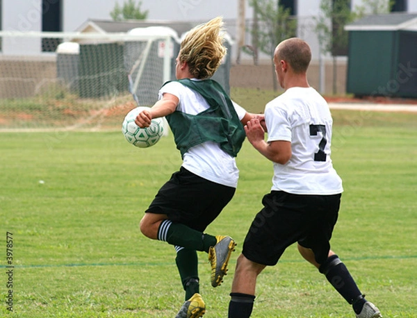 Obraz Competing for the Ball