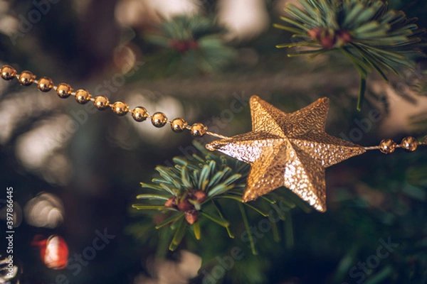 Obraz Weihnachtsstern