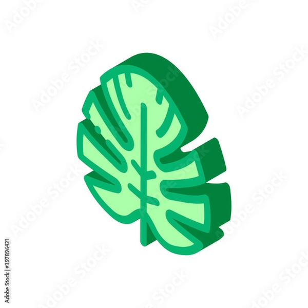 Fototapeta plant leaf icon vector. isometric plant leaf sign. color isolated symbol illustration