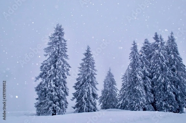 Obraz Winter landscape in snowfall - Weisse Weihnacht Landschaft bei Schneefall im Schwarzwald