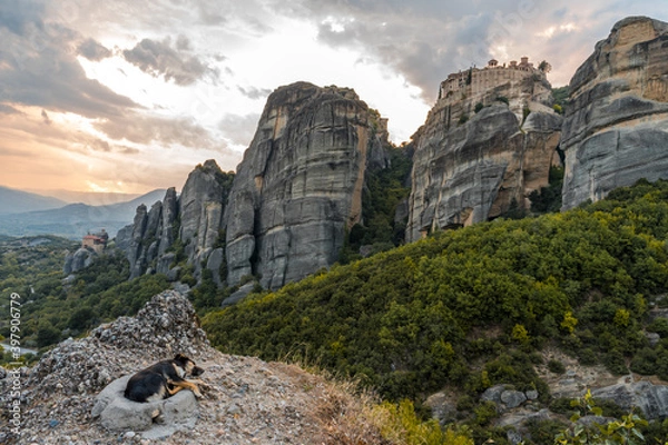 Fototapeta Stray dog sleeping in a stone cradle bed at the bottom of Meteora rocks in Greece 