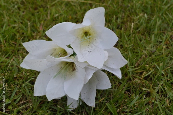 Obraz abandoned plastic flowers