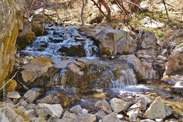 Fototapeta stream in the forest over rocks
