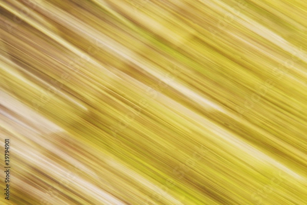 Obraz Abstraktion #35