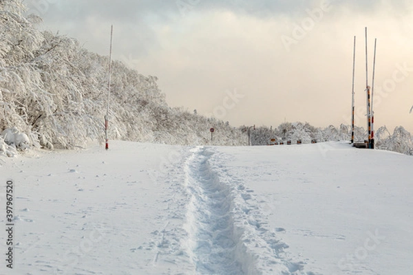 Obraz 山の中の雪道
