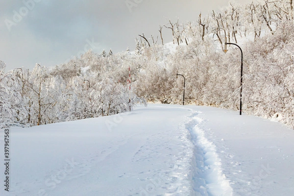 Obraz 雪道ハイキング