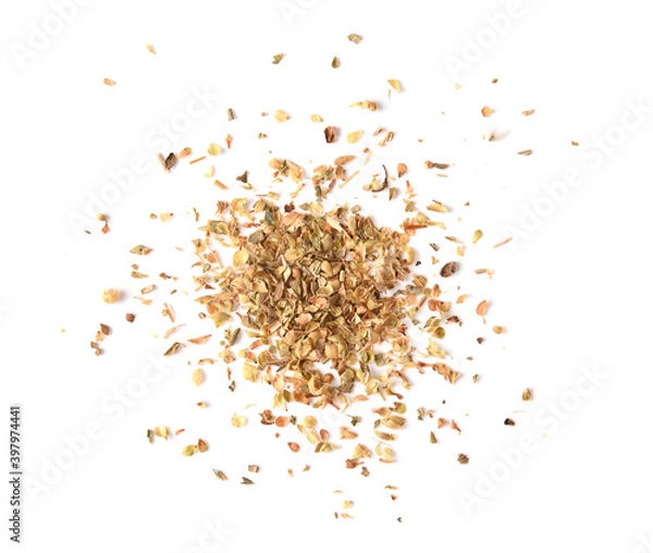 Obraz oregano on white background
