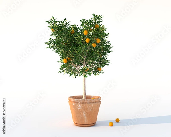 Fototapeta Orange tree in ceramic vase 3d rendering