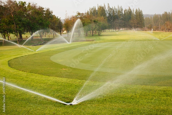 Obraz Watering in golf course