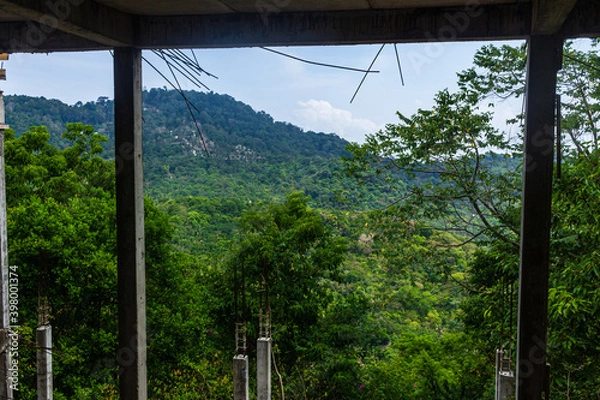 Obraz green jungle view from balcony