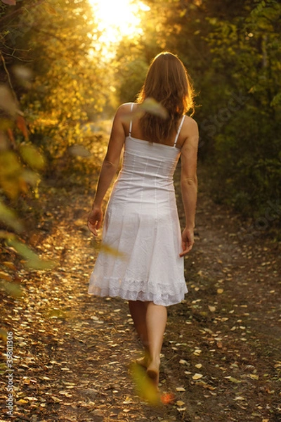 Obraz Mysterious path