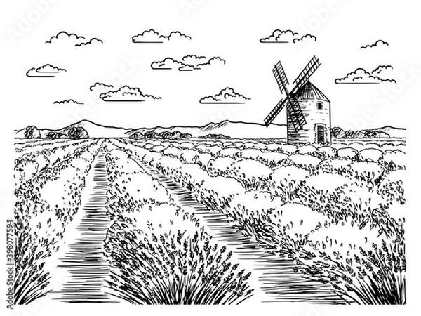 Fototapeta A sketch of lavender fields. French countryside landscape in Provence. Creates a summer mood.