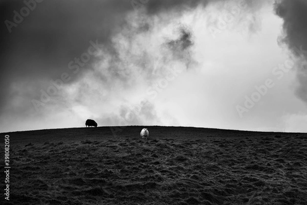 Fototapeta Horizonte