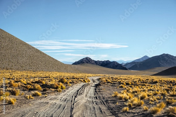 Obraz Camino en Catamarca