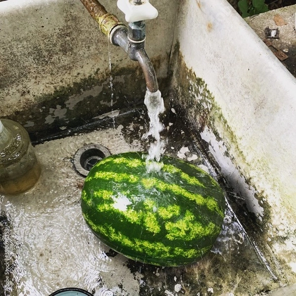 Obraz Washing a watermelon