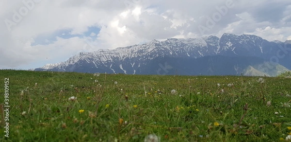 Obraz Mountain top grassy view